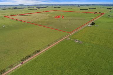 Farm Sold - VIC - The Sisters - 3265 - Safely Held, High Quality Outpaddock  (Image 2)