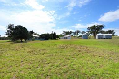 Farm Sold - NSW - Dunedoo - 2844 - WARWICK FARM  (Image 2)