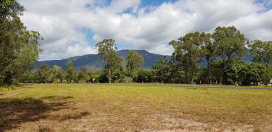 Farm Sold - QLD - Ellerbeck - 4816 - Mahogany Ridge Estate is where you can live out...  (Image 2)