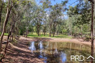 Farm Sold - NSW - Bungawalbin - 2469 - So Much Potential on 144 Acres  (Image 2)
