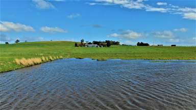 Farm Sold - VIC - Cardigan - 3352 - 841 Cuthberts Rd, Cardigan  (Image 2)