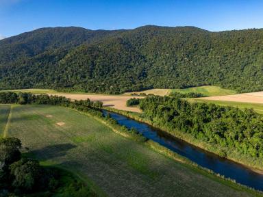 Farm Sold - QLD - Aloomba - 4871 - Rainforest, River, Mountain Streams and Pasture- Lifestyle Property  (Image 2)