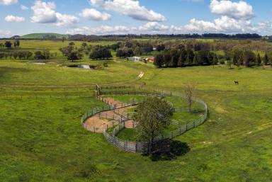 Farm Sold - NSW - Glen Innes - 2370 - Wyomee  (Image 2)