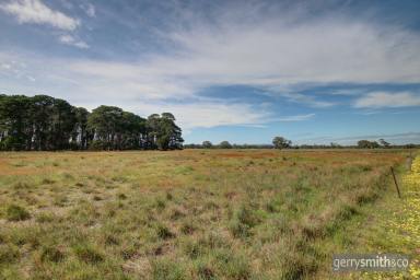 Farm Sold - VIC - Toolondo - 3401 - TOOLONDO - 100acres of Cropping/Grazing Land  (Image 2)