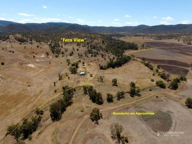 Farm Sold - QLD - Bunya Mountains - 4405 - "FERN VIEW" - TOP BREEDER BLOCK WITH PICTURESQUE BUNYA MOUNTAIN VIEWS - 105mms RAIN JANUARY  (Image 2)