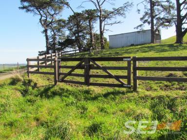 Farm Sold - VIC - Mountain View - 3988 - 8 Curwen Road  (Image 2)