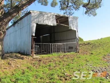 Farm Sold - VIC - Mountain View - 3988 - 8 Curwen Road  (Image 2)