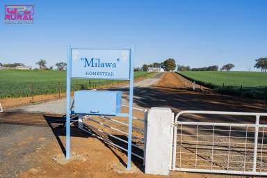 Farm Sold - NSW - Old Junee - 2652 - OPPORTUNITIES DON'T COME ALONG OFTEN TO PURCHASE AN OUTSTANDING PROPERTY LIKE 'MILAWA'  (Image 2)