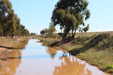 Farm Sold - NSW - Gillenbah - 2700 - Well Priced Block Close to Town.  (Image 2)