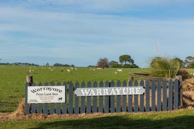 Farm Sold - VIC - Moutajup - 3294 - "Warrayure" c1860 - Iconic Historic Property  (Image 2)