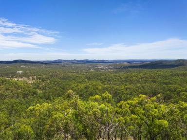 Farm Sold - QLD - Ironpot - 4701 - Private 65ha lifestyle property with stunning panoramic views  (Image 2)