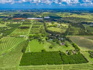 Farm Sold - NSW - Lynwood - 2477 - Perfect Peace, Privacy & Income Production  (Image 2)
