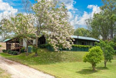 Farm Sold - NSW - Greenlands - 2330 - Views! Land! Lifestyle! Water!  (Image 2)