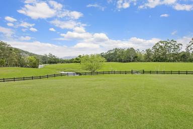 Farm Sold - NSW - Logans Crossing - 2439 - Pristine Country Lifestyle  (Image 2)