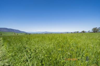 Farm Sold - VIC - Cudgewa - 3705 - SURISE ACRES 69 ACRES OF FREEHOLD GRAZING WITH BUILDING ENTITLEMENTS  (Image 2)