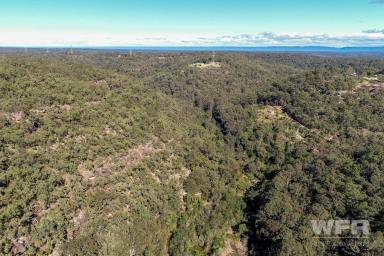 Farm Sold - NSW - Leets Vale - 2775 - 10 Peaceful Hillside Acres - Build Your Dream Home or Weekender!  (Image 2)