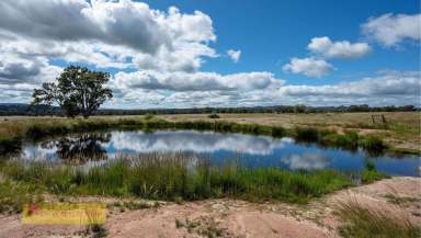 Farm Sold - NSW - Mudgee - 2850 - DREAM RURAL LIFESTYLE BLOCK  (Image 2)