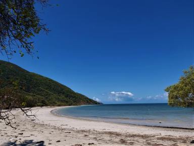 Farm Sold - QLD - Cooktown - 4895 - Hidden Bush haven.  Above a totally secluded Beach.
Once in a lifetime opportunity ACT NOW . This will sell fast  (Image 2)