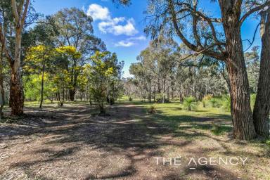 Farm For Sale - WA - Wooroloo - 6558 - Divide & Prosper!!  (Image 2)