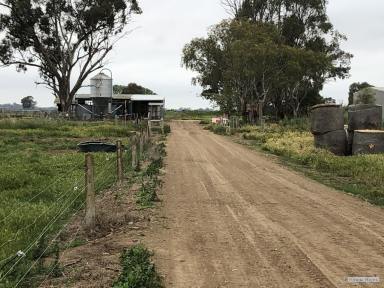 Farm Sold - VIC - Undera - 3629 - Property with Huge Potential  (Image 2)