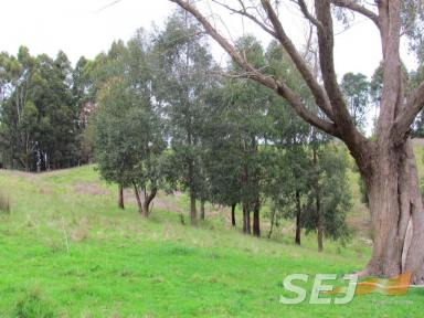 Farm Sold - VIC - Buln Buln East - 3821 - 40 ACRES, CLOSE TO TOWN, AVAILABLE NOW!  (Image 2)