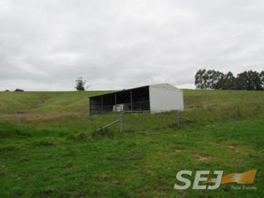 Farm Sold - VIC - Buln Buln East - 3821 - 40 ACRES, CLOSE TO TOWN, AVAILABLE NOW!  (Image 2)