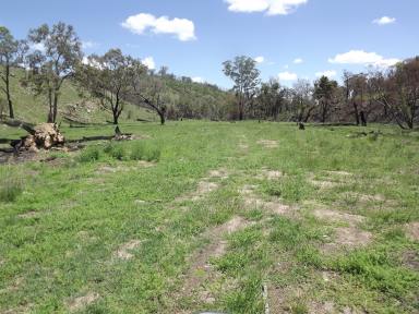Farm Sold - NSW - Emmaville - 2371 - A great get away or lifestyle block  (Image 2)
