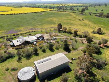 Farm Sold - NSW - Junee - 2663 - 'Gunggari' - 135 Acres with Magnificent Views!!  (Image 2)