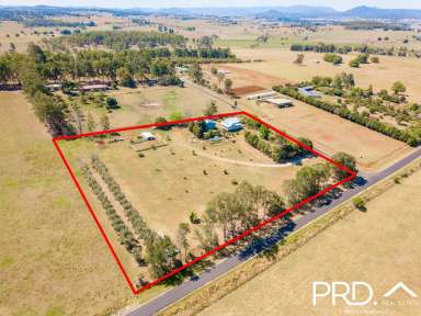 Farm Sold - NSW - Stratheden - 2470 - Stylish Lifestyle Property  (Image 2)