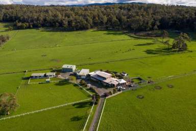 Farm Sold - TAS - Latrobe - 7307 - Welcome to Morning Downs  (Image 2)