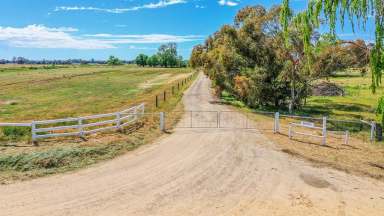 Farm Sold - VIC - Teal Point - 3579 - LOOK AT THIS OPPORTUNITY  -  WHY BUY A HOUSE - WHEN YOU CAN OWN THIS PRODUCTIVE FARM  (Image 2)