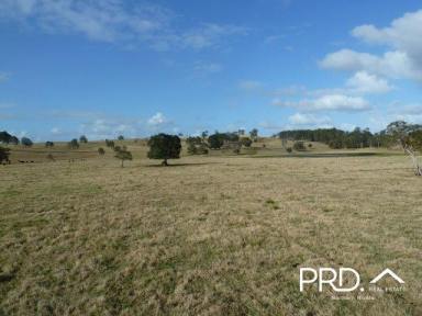 Farm Sold - NSW - Shannon Brook - 2470 - 77 Acre Farming & Grazing Property  (Image 2)