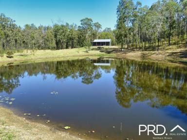 Farm Sold - NSW - Ewingar - 2469 - Idyllic Bush Retreat  (Image 2)