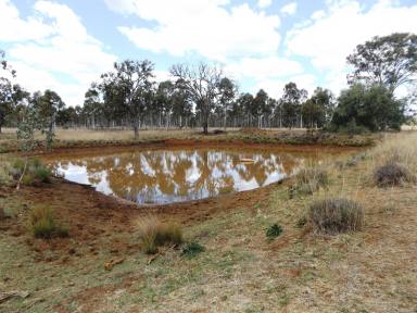 Farm Sold - QLD - Kingaroy - 4610 - 150 Acres under 10 minutes to town  (Image 2)