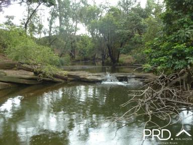 Farm Sold - NSW - Shannon Brook - 2470 - 60 Acre Farming & Grazing Property  (Image 2)