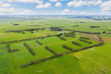 Farm Sold - VIC - Warrong - 3283 - HIGHLY ATTRACTIVE FULLY DEVELOPED SMALL FARM  (Image 2)