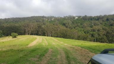 Farm Sold - NSW - Little Forest - 2538 - An Iconic Secluded Mountain Retreat  (Image 2)