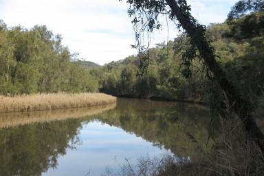 Farm Sold - NSW - Webbs Creek - 2775 - A Fabulous Spot For A Weekend Getaway, 400 Meters Of Water Frontage!  (Image 2)