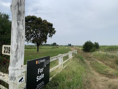 Farm Sold - NSW - East Coraki - 2471 - Paddock for growing or recreation.  (Image 2)