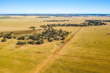 Farm Sold - NSW - COLEAMBALLY - 2707 - "North Bonnars" and "South Bonnars", Coleambally NSW  (Image 2)