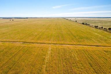 Farm Sold - NSW - COLEAMBALLY - 2707 - "North Bonnars" and "South Bonnars", Coleambally NSW  (Image 2)