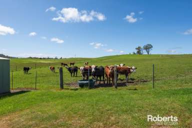 Farm Sold - TAS - Bridgenorth - 7277 - Live The Tassie Dream  (Image 2)