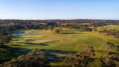 Farm Sold - SA - Moculta - 5353 - Karinya Station – Substantial Barossa Grazing Property with Historic Homestead  (Image 2)