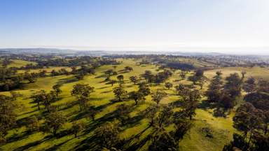 Farm Sold - SA - Moculta - 5353 - Karinya Station – Substantial Barossa Grazing Property with Historic Homestead  (Image 2)