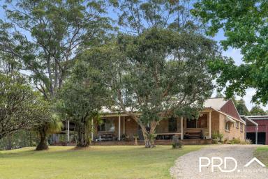 Farm Sold - NSW - Wadeville - 2474 - Small Acreage Lifestyle at Wadeville  (Image 2)