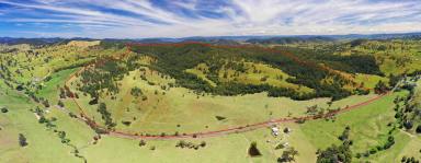 Farm Sold - NSW - Wallanbah - 2422 - Productive Grazing Acres with Subdivision Approval  (Image 2)