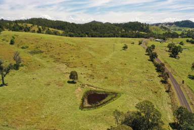 Farm Sold - NSW - Wallanbah - 2422 - Productive Grazing Acres with Subdivision Approval  (Image 2)