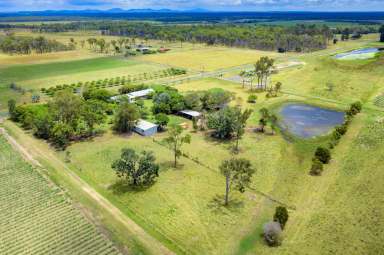 Farm Sold - QLD - South Kolan - 4670 - LOOK NO FURTHER BEAUT PLACE TO LIVE  (Image 2)