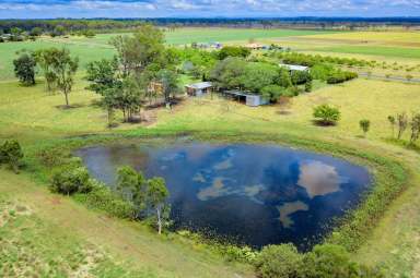 Farm Sold - QLD - South Kolan - 4670 - LOOK NO FURTHER BEAUT PLACE TO LIVE  (Image 2)