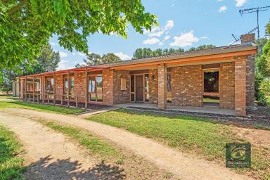 Farm Sold - VIC - Echuca - 3564 - Rural Lifestyle with Town Convenience  (Image 2)